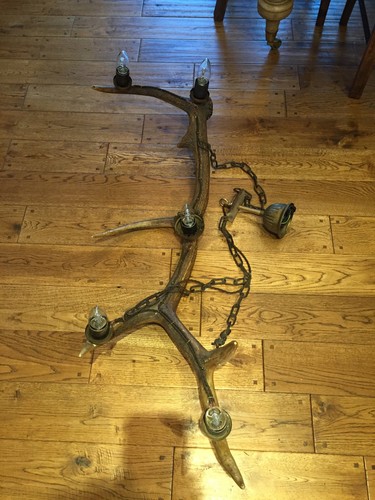 Ancien lustre cerf 12pt
