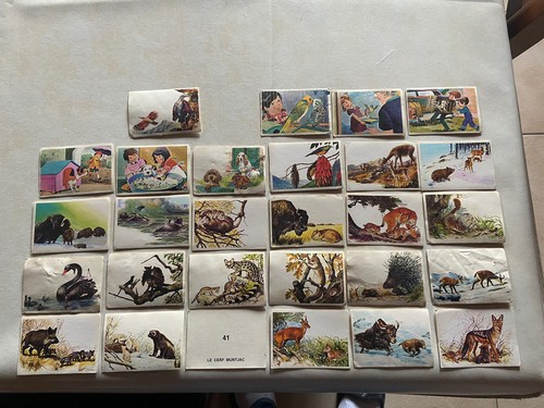 Image autocollant sticker - autocollant,