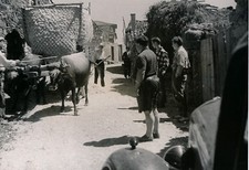 PORTUGAL c. 1938 - Attelage de
