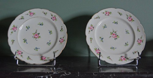 Paire assiettes porcelaine - paire,