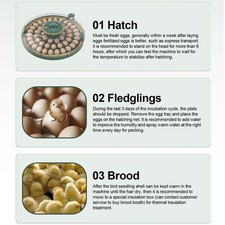 52 Eggs Incubator With