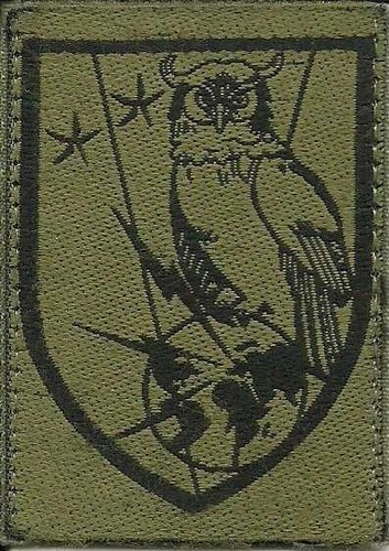 Insigne tissu patch militaire - insigne,