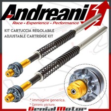 Andreani Kit cartouche
