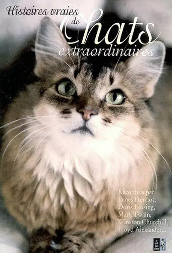 Histoires vraies chats - histoires,