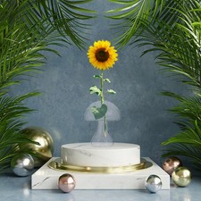  Vase À Bonsaï Clair Pot De