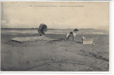 CP 80 Somme - La chasse en Baie de Somme - Chasseur couvrant son Hutteau