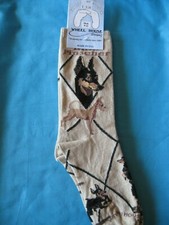 Miniature Pinscher Min Pin