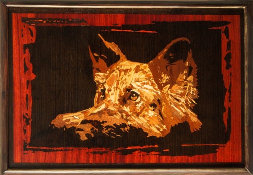 Berger chien mur photo - , animal