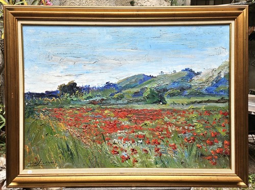 Champs coquelicots en - de,