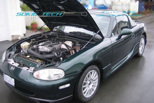 Black strut lift hood shock - hood,