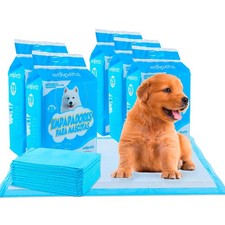 Alaise pour chien - alaise,
