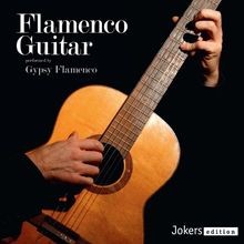Flamenco guitar gypsy - guitar,