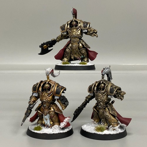 Allarus custodiens terminators - custodiens,