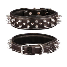 Colliers de luxe cloutés à pointes en cuir véritable pour toutes les races | ...