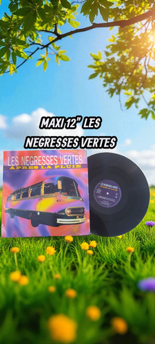 Disque maxi tours vinyle - vinyle, 12
