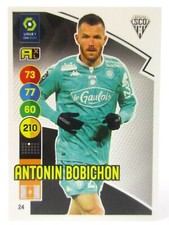 Carte Panini Adrenalyn XL