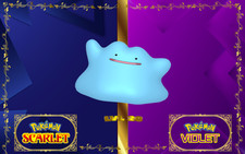 Pokemon Métamorph - Ditto + Objet SHINY 6 IV-31 Ecarlate-Violet