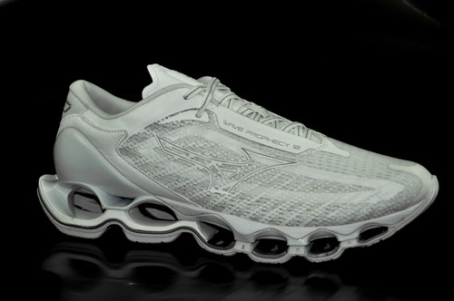 Mizuno wave prophecy - mizuno, 12