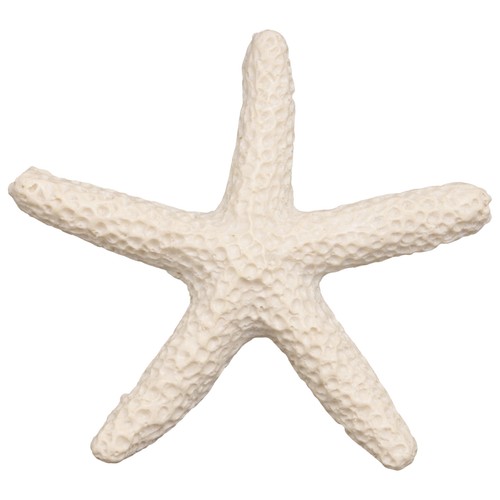 Pièces étoile mer de - Étoile,