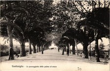 CPA AK VENTIMIGLIA La passeggiata delle palme al mare ITALY (530739)