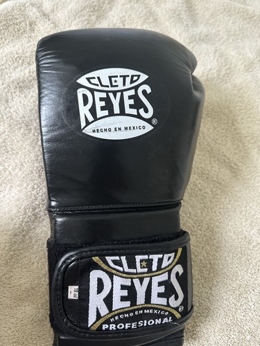 Cleto reyes training boxing - cleto,