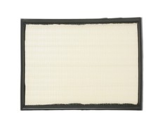 RIDEX 8A0052 Filtre à air