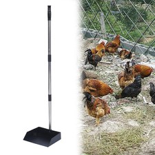 Ramasse-crottes de poulet