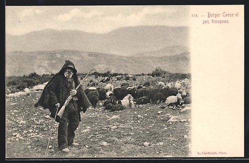 Cpa korsika corse berger - /, corse,
