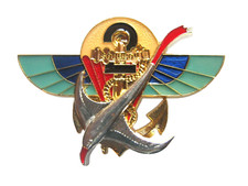 INSIGNE DES PARACHUTISTES DU 2° RPIMa LA COMPAGNIE BOURBON (ARGENTE BRILLANT)