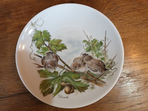 Assiette décor escargot - décor,