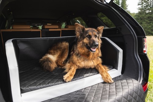 Lit chien coffre voiture - lit,
