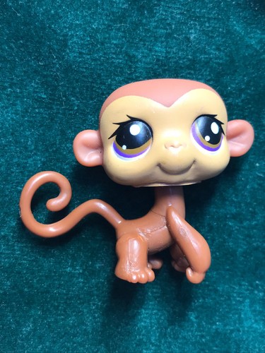 🌺Petshop singe araignée