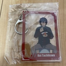 Porte-clés acrylique World