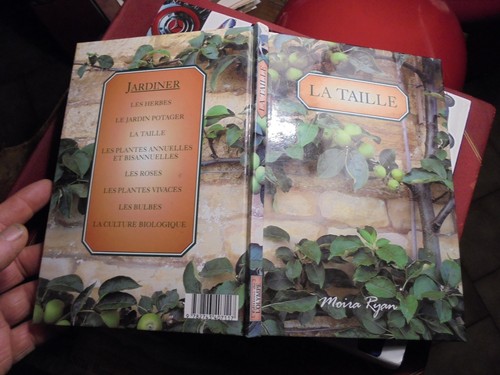 Taille des plantes arbres - plantes,