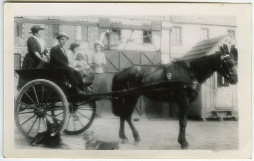 Photo ancienne cheval - photo,