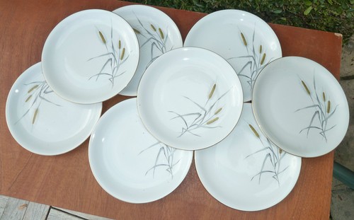 Lot assiettes plates - assiettes,
