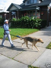 Tug-No-More ORIGINAL Harness/Leash System NR&Free Ship!