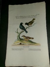 Rare Seligmann & Edwards Hand