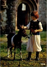 *58245 cpm Petit glazik