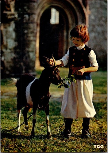 58245 cpm petit glazik - *58245,