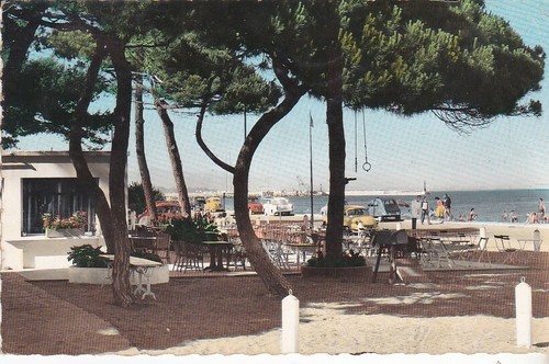 Cpsm hyeres les palmiers - les, la