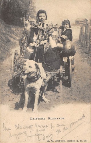 Cpa belgique laitiere - belgique,