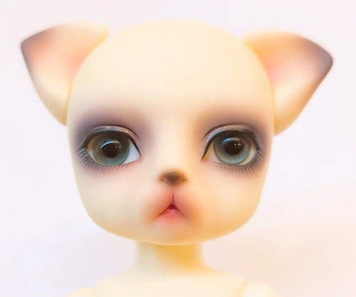 Rare luts zuzu delf lio - delf, bjd