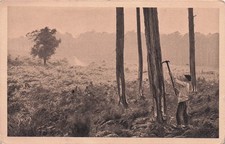 40 LES LANDES LE RESINIER AU