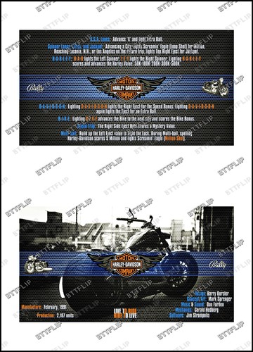 Bally harley davidson 1991 - davidson,