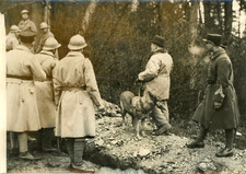 Enquête pour la disparition