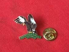 pins PROTEGEONS les RAPACES le PUY FOU spectacle fauconnerie aigle Vendee FRANCE