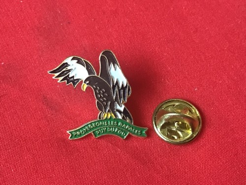 Pins protegeons les rapaces - protegeons,