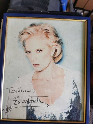 Sylvie vartan cadre photo - sylvie,