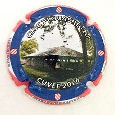 CAPSULE DE CHAMPAGNE PIERRE